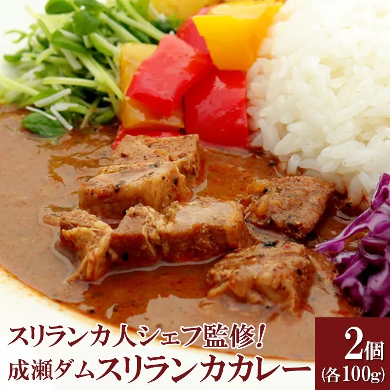 成瀬ダム スリランカカレー 100g×2個  ゆうパケット