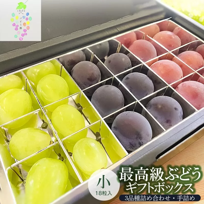 【令和7年産先行予約】最高級ぶどう ギフトボックス【小】18粒入 高級3品種 詰合せ（手詰め）　カラフルぶどう園 