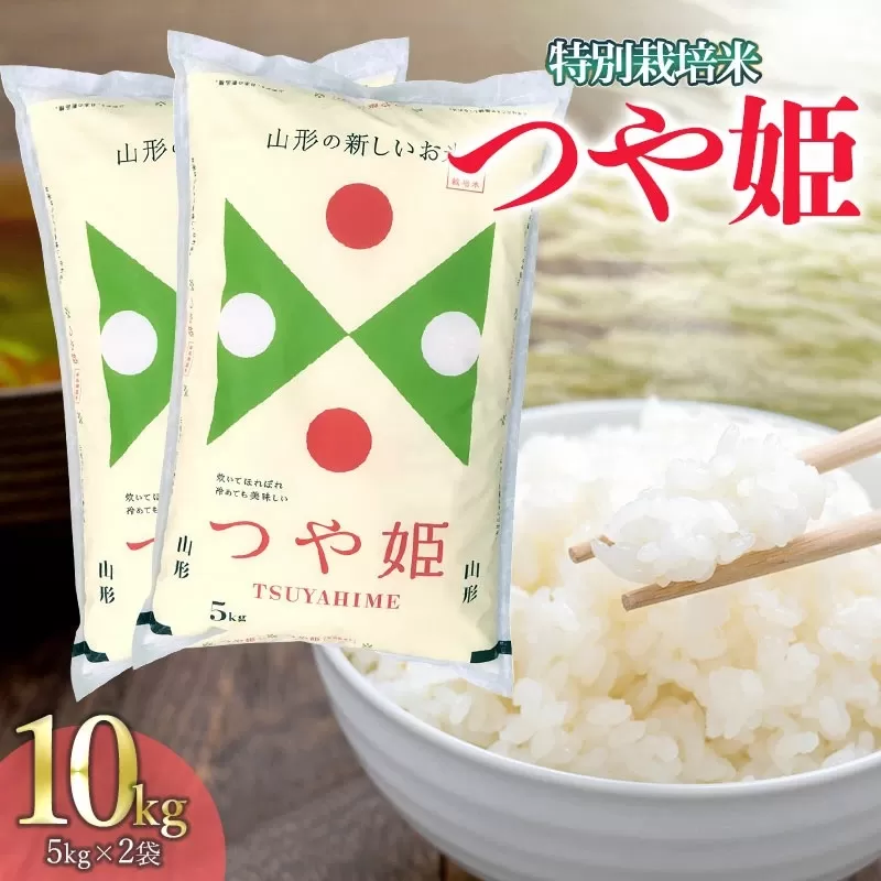 令和5年産 特別栽培米 山形県 庄内産 つや姫精米 5kg×2袋 計10kg 米食味鑑定士お薦め