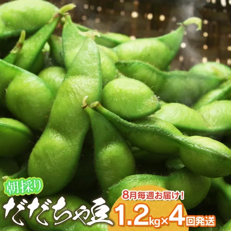 【4回定期便】【令和8年産先行予約】 朝採りだだちゃ豆 だだちゃ豆好き必見!毎週お届け!4回発送 1.2kg(600g×2袋)×4回 山形県鶴岡市産 株式会社菜な八(鶴岡ファーマーズ)