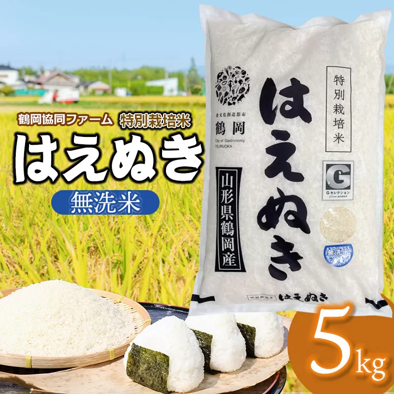 【令和7年産】【新米】 特別栽培米はえぬき　無洗米 5kg　(5kg×1袋)　山形県鶴岡産　鶴岡協同ファーム