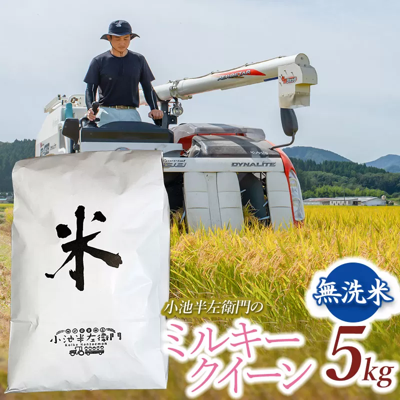 数量限定 【令和7年産先行予約】 山形県庄内産 小池半左衛門のお米 ミルキークイーン 無洗米 5kg (5kg×1袋)