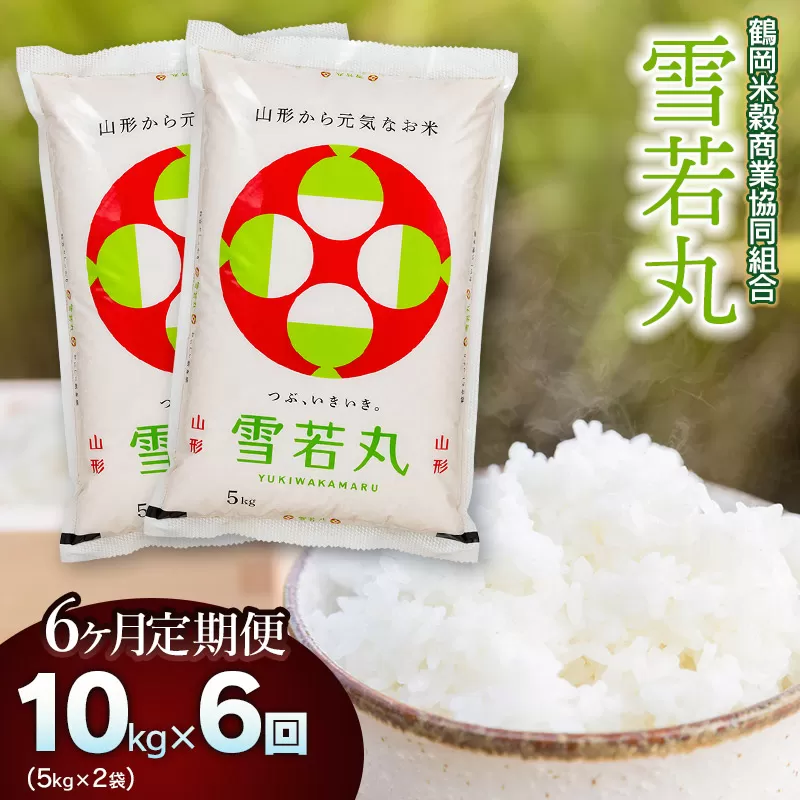 【令和6年産】雪若丸10kg（5kg×2）【6回定期便】 山形県庄内産　鶴岡米穀商業協同組合