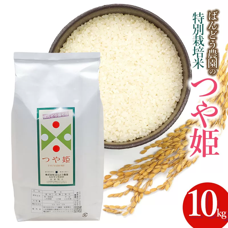 [令和7年産][新米] ばんどう農園の特別栽培米つや姫 白米10kg 山形県鶴岡市産 K-784