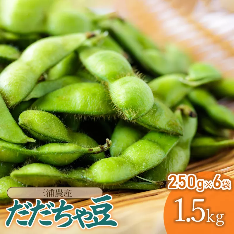 【令和7年産先行予約】 山形県鶴岡産 だだちゃ豆　約1.5kg（250g×6袋）　三浦農産