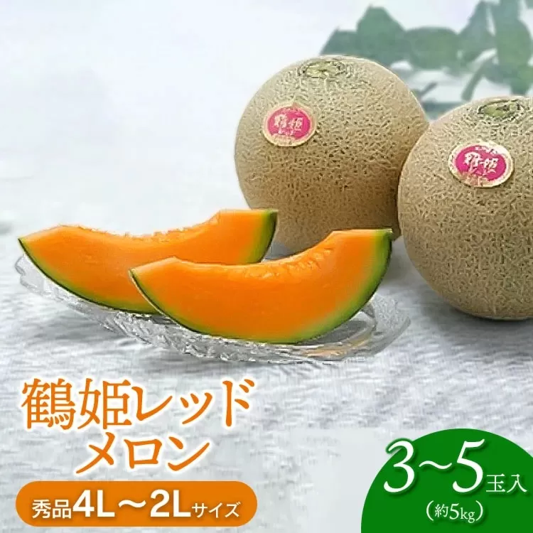 【令和8年産先行予約】鶴姫レッドメロン（3～5玉） 秀品 4L～2L　K-843　鶴岡市農業協同組合　赤肉メロン