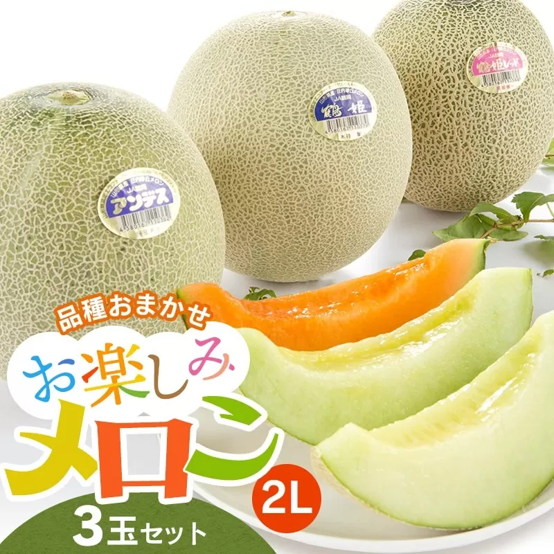 【令和7年産先行予約】 お楽しみメロン 3玉セット 2Lサイズ 山形県 庄内産 砂丘メロン 三昧 アンデスメロン・鶴姫メロン・鶴姫レッドメロン の中から3玉お届け 食べ比べ JA鶴岡 K-736