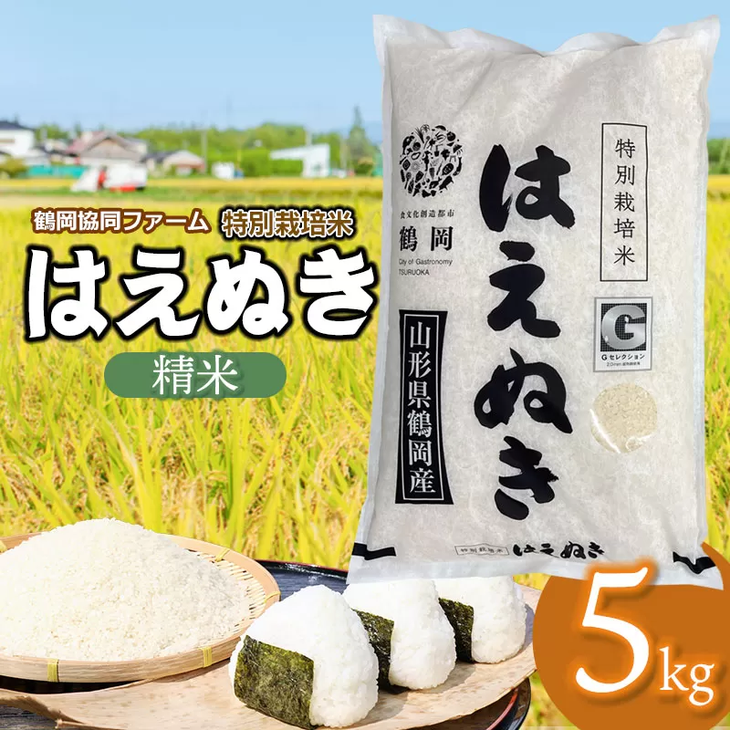 【令和7年産】【新米】 特別栽培米はえぬき　精米5kg　(5kg×1袋)　山形県鶴岡産　鶴岡協同ファーム