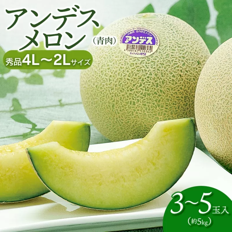 【令和8年産先行予約】 アンデスメロン (3～5玉) 秀品 4L～2L　K-839　鶴岡市農業協同組合