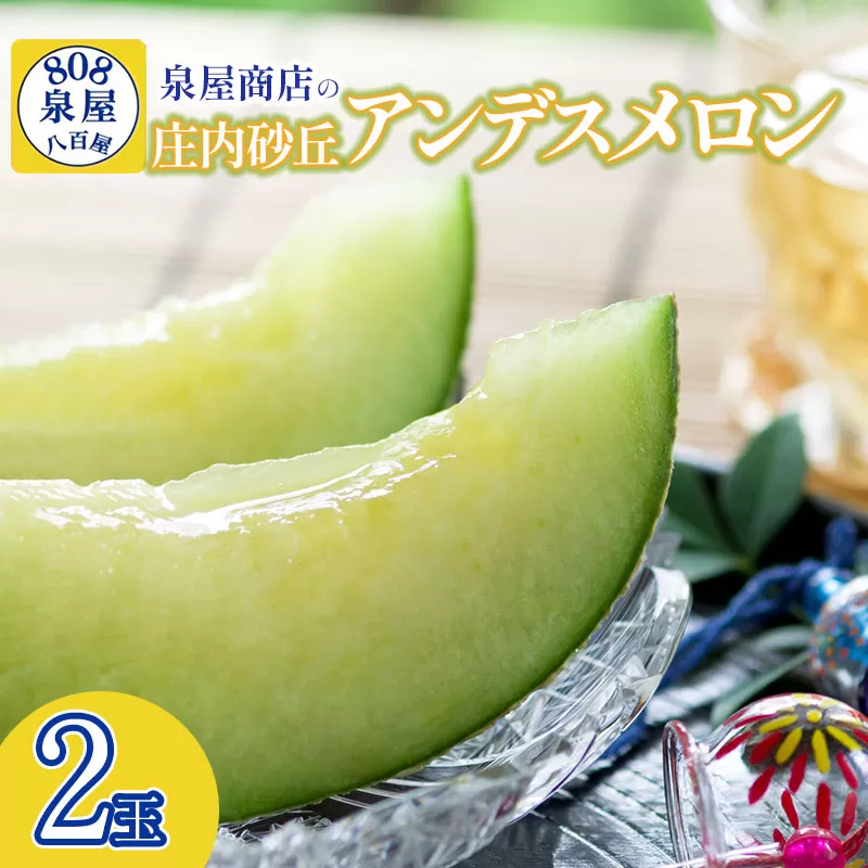 【令和8年産先行予約】泉屋商店の庄内砂丘アンデスメロン 2玉　K-822