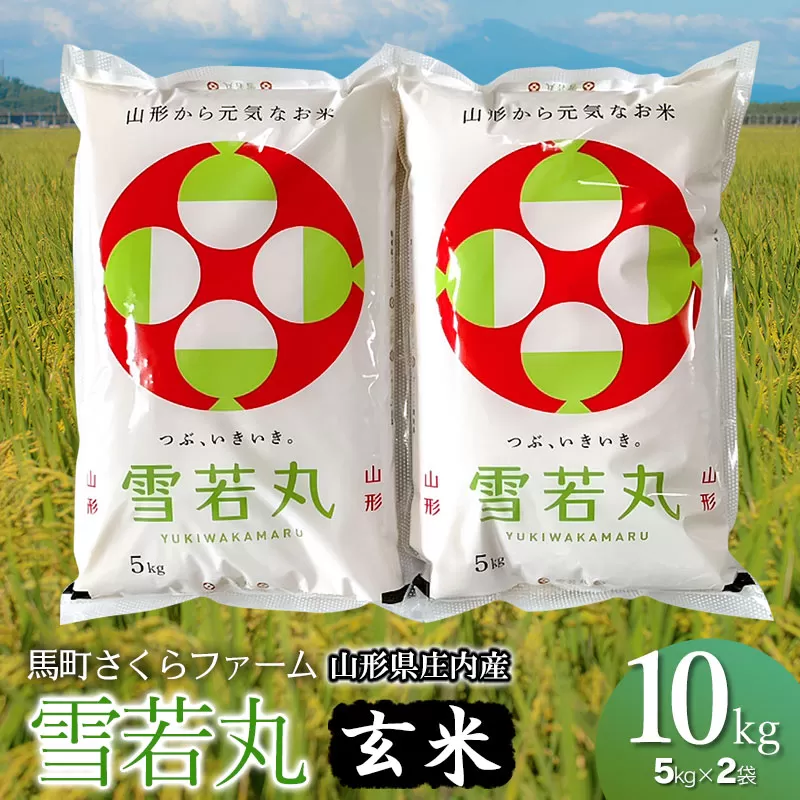 【令和7年産】馬町さくらファームの雪若丸 玄米 10kg（5kg×2袋）　K-771 | 山形県 鶴岡市 ご飯  ブランド米 食物繊維 ビタミン ミネラル 豊富