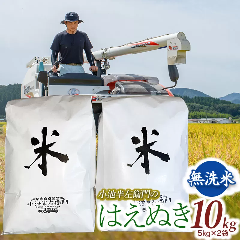 数量限定 【令和7年産先行予約】 山形県庄内産 小池半左衛門のお米 はえぬき 無洗米 10kg (5kg×2袋)