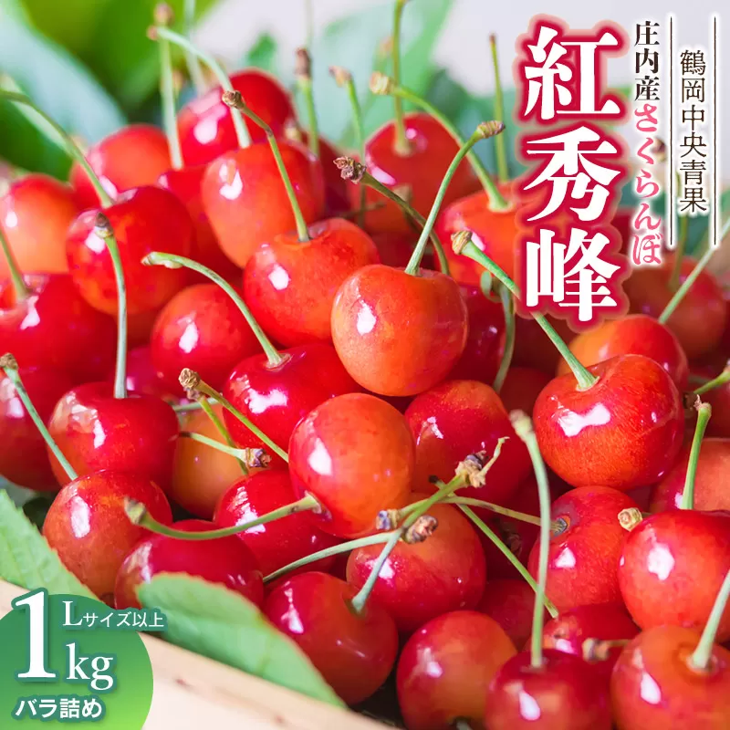 【令和8年産】さくらんぼ 紅秀峰　バラ詰め 1kg　Lサイズ以上　山形県鶴岡市　鶴岡中央青果　| サクランボ チェリー 山形 鶴岡 庄内産 東北 果物 くだもの フルーツ 1キロ 産地直送 旬の果物 果実 人気 美味しい お取り寄せ 返礼品
