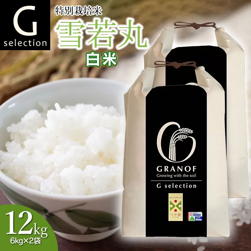 【令和7年産先行予約】 特別栽培米 Gセレクション 雪若丸 白米 12kg (6kg×2袋) 山形県鶴岡市産　株式会社グラノフ