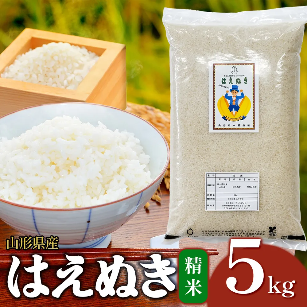 【令和7年産】はえぬき 精米 5kg (5kg×1袋)　山形県産 | 5キロ 米 お米 コメ 白米 食品 ご飯 ごはん 美味しい おいしい ブランド米 エコ包装 おすすめ 人気 山形県 鶴岡市 東北 国産 お取り寄せ SDGs未来都市鶴岡 返礼品