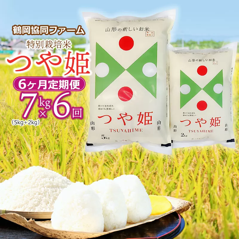 【令和6年産先行予約】【定期便】特別栽培米つや姫 7kg (5kg+2kg)×6ヶ月　山形県鶴岡産　鶴岡協同ファーム