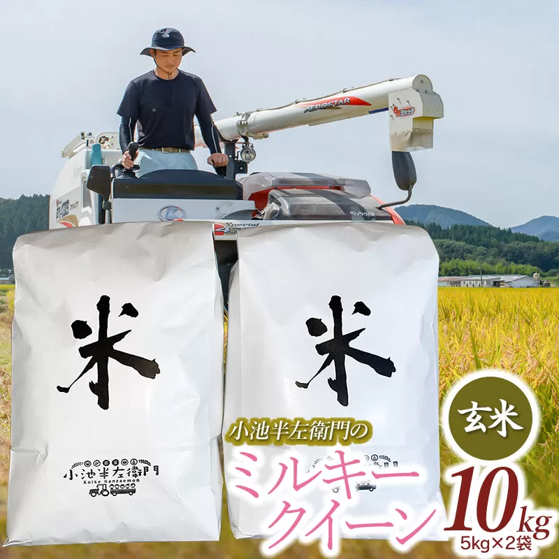 数量限定 【令和7年産先行予約】 山形県庄内産 小池半左衛門のお米 ミルキークイーン 玄米 10kg (5kg×2袋)
