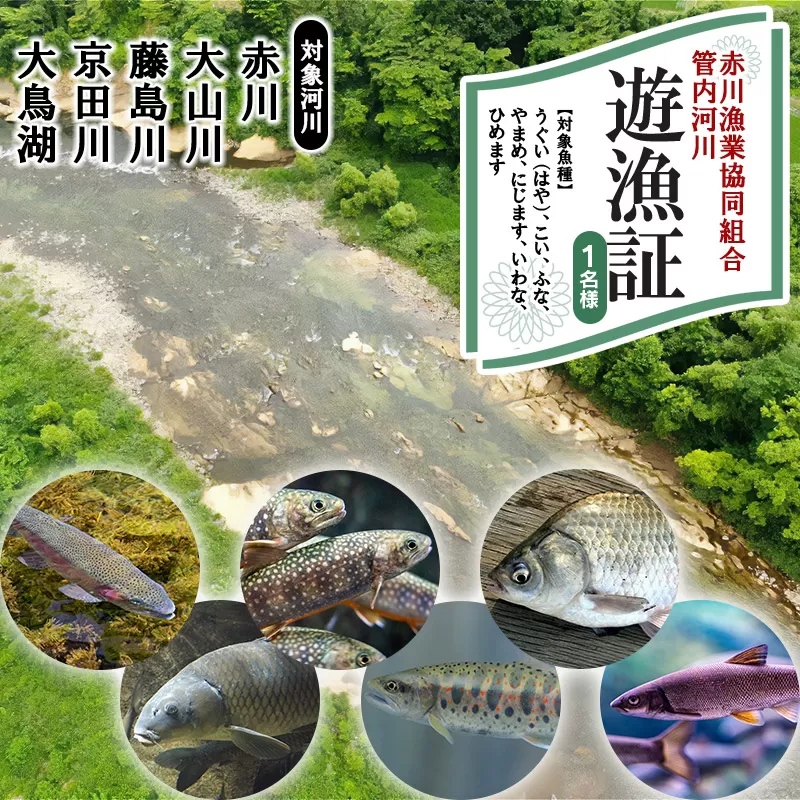 雑魚　遊漁証（赤川漁業協同組合管内河川）【期間：令和8年4月1日～9月30日まで】
