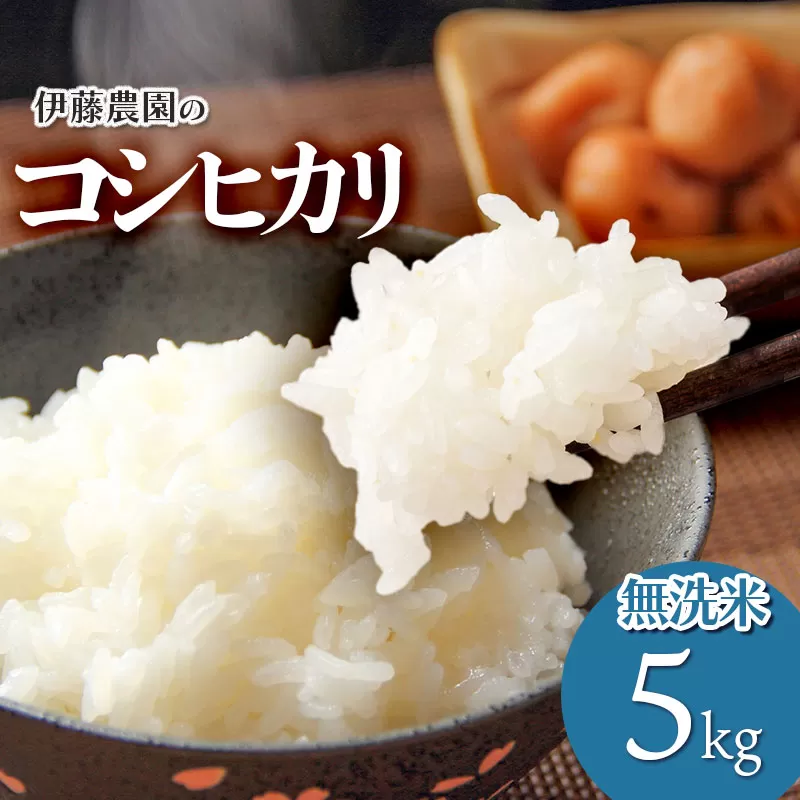 【令和7年産】【新米】コシヒカリ　無洗米5kg　伊藤農園