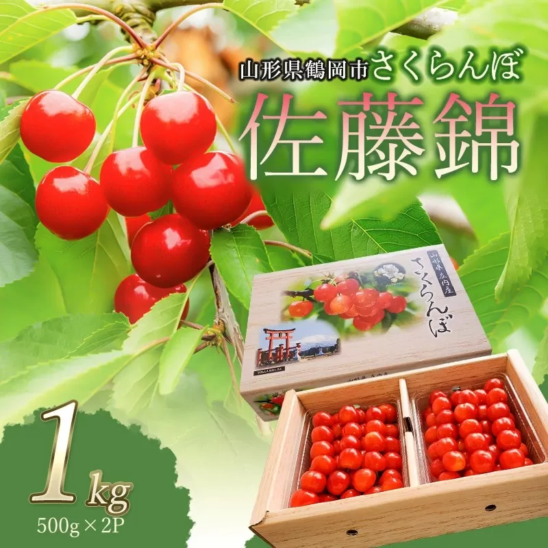 【令和7年産先行予約】佐藤錦 1kg 2L～Lサイズ 混合 バラ詰め 小林農園 さくらん坊