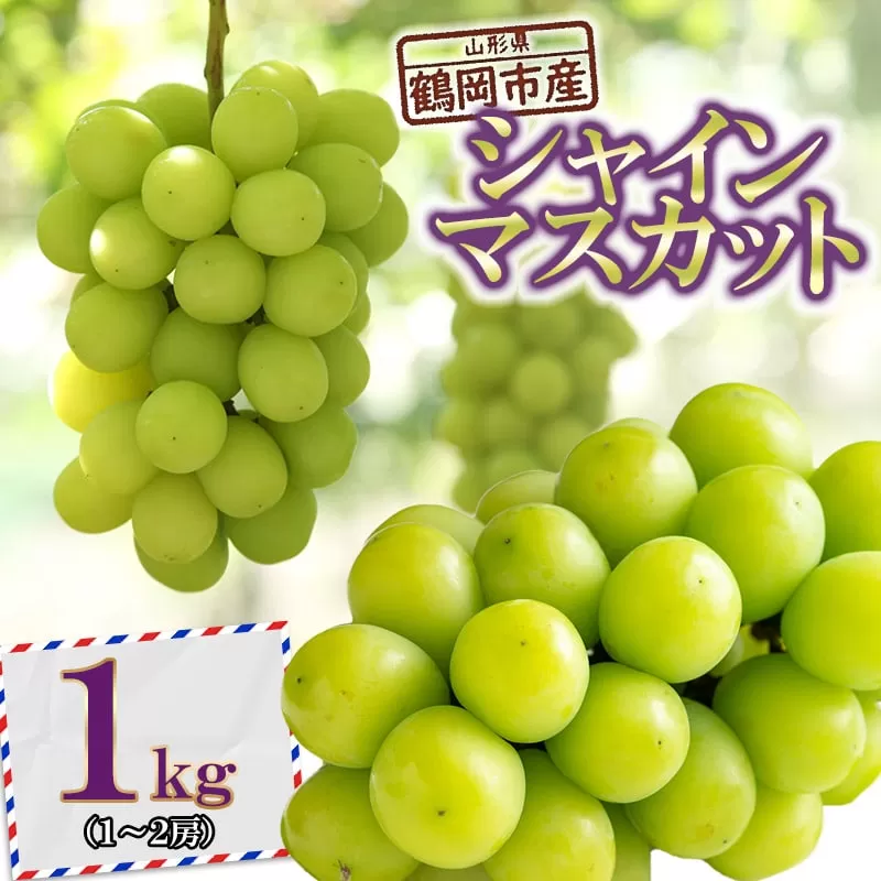 【令和6年産先行予約】鶴岡市産 シャインマスカット 約1kg(1～2房) JA庄内たがわ　A15-602