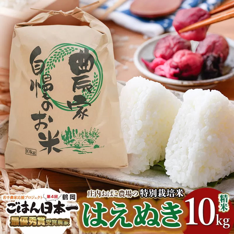 【令和7年産先行予約】庄内おばこ農場の特別栽培米 はえぬき【精米】10kg（10kg×1袋）　K-796
