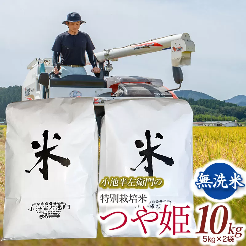 数量限定 【令和7年産先行予約】 山形県庄内産 小池半左衛門のお米 特別栽培米 つや姫 無洗米 10kg (5kg×2袋)