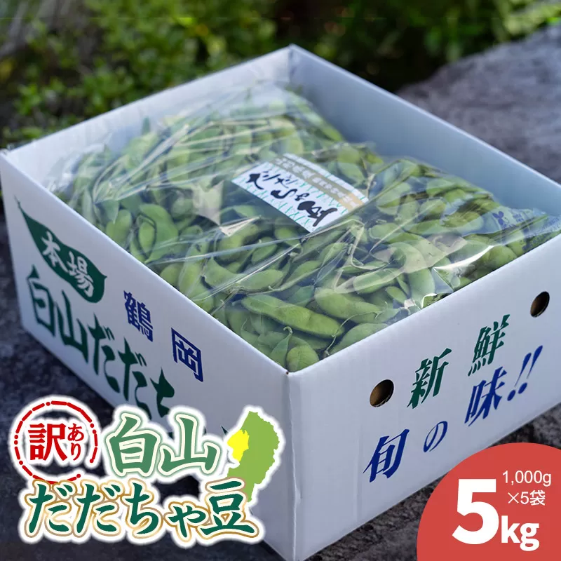【令和8年産先行予約】【訳あり】白山だだちゃ豆　5kg（1kg × 5袋）　長五郎