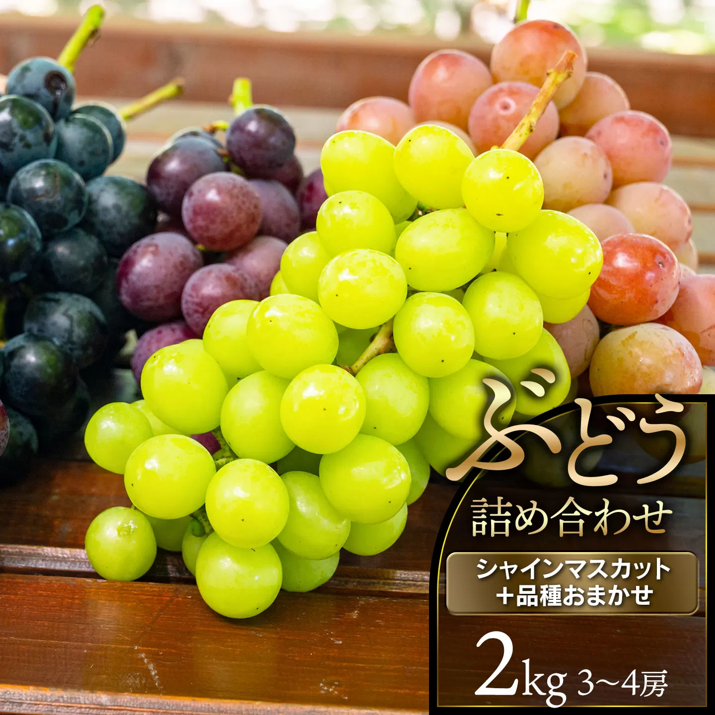【令和8年産先行予約】 ぶどう詰合せ（品種おまかせ） 2kg（3～4房）　山形県鶴岡市　鶴岡中央青果　| ぶどう ブドウ 葡萄 果物 くだもの フルーツ 食べ比べ 2キロ 旬 期間限定 2026年産 人気 美味しい お取り寄せ 返礼品