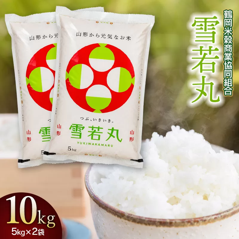 【令和6年産】雪若丸10kg（5kg×2） 山形県庄内産　鶴岡米穀商業協同組合