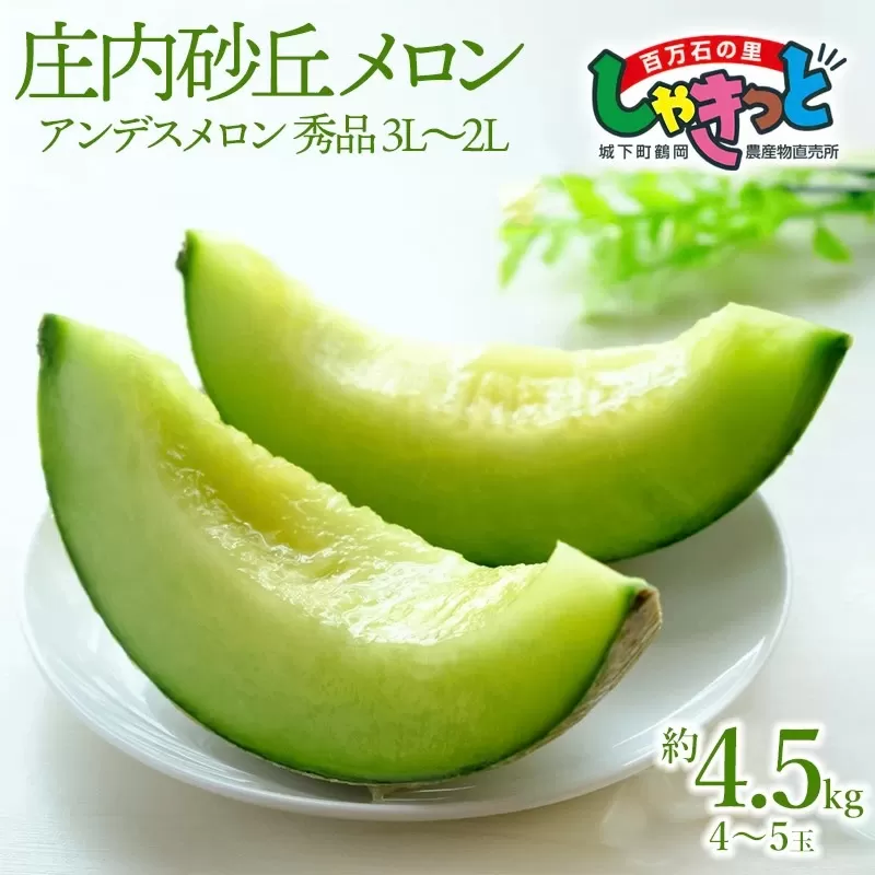 【令和7年産先行予約】 庄内砂丘アンデスメロン 秀品3L～2L 約4.5kg(4～5玉) 山形県鶴岡産　百万石の里しゃきっと　K-739