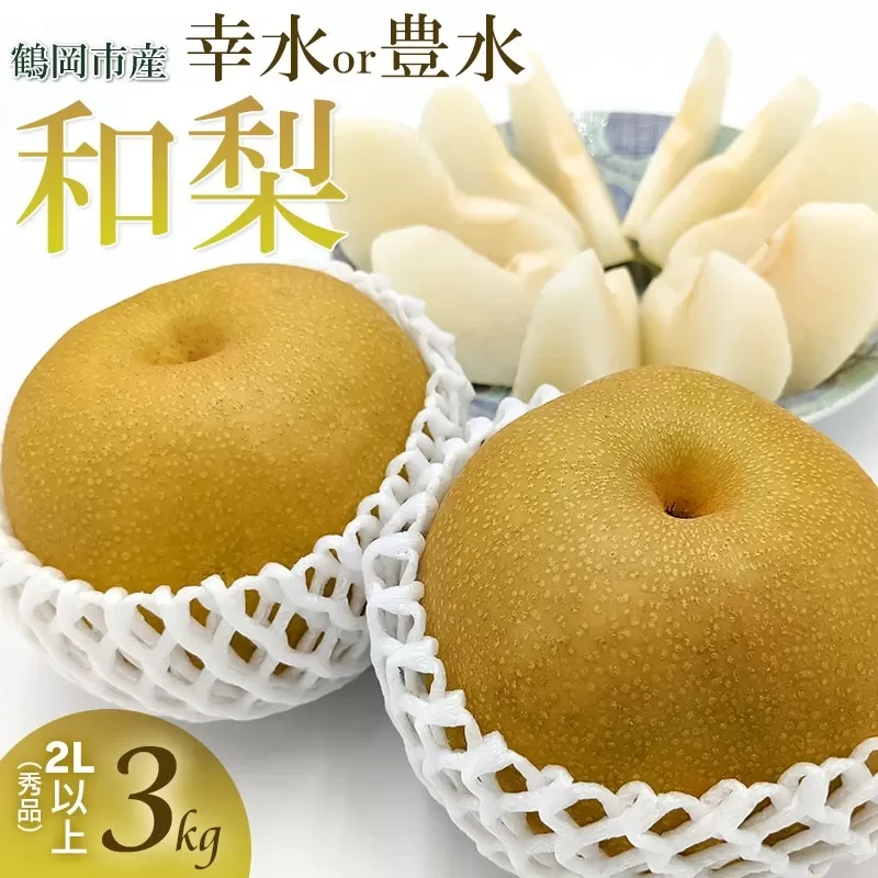 【令和7年産 先行予約】鶴岡市産 和梨 幸水or豊水　約3kg 2L以上（秀品）どちらか1品種　庄内産直センター