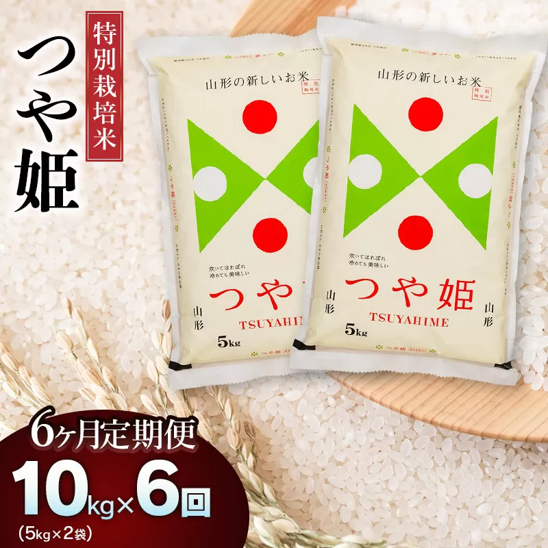 【令和6年産】特別栽培米つや姫10kg（5kg×2）【6回定期便】 山形県庄内産　鶴岡米穀商業協同組合