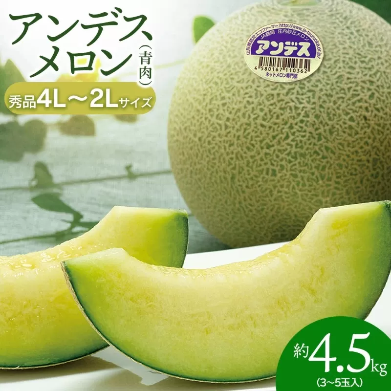 【令和7年産先行予約】 アンデスメロン 3玉～5玉　秀品 4L～2L　K-739　JA鶴岡