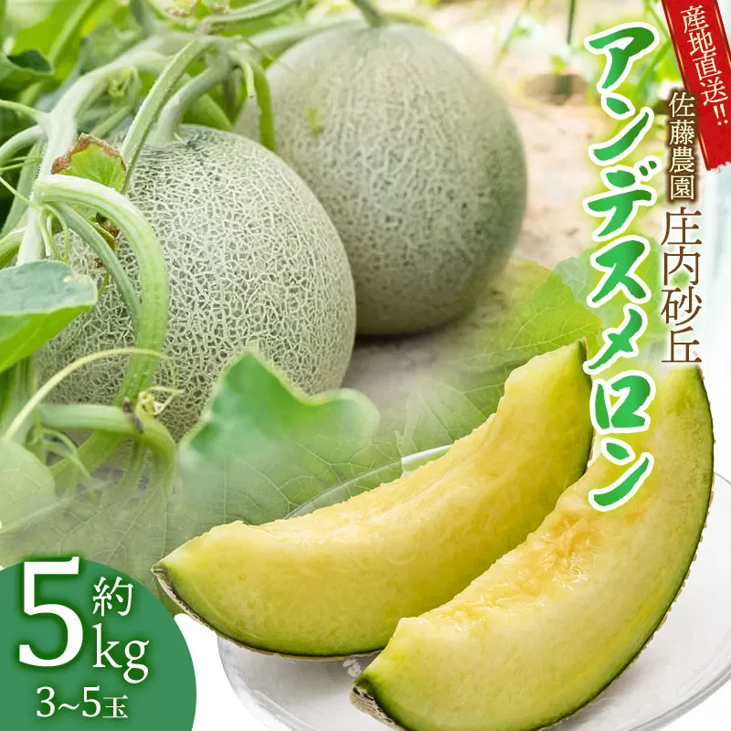 【令和8年産先行予約】産地直送！庄内砂丘アンデスメロン 約5kg (3～5玉)　佐藤農園　K-835