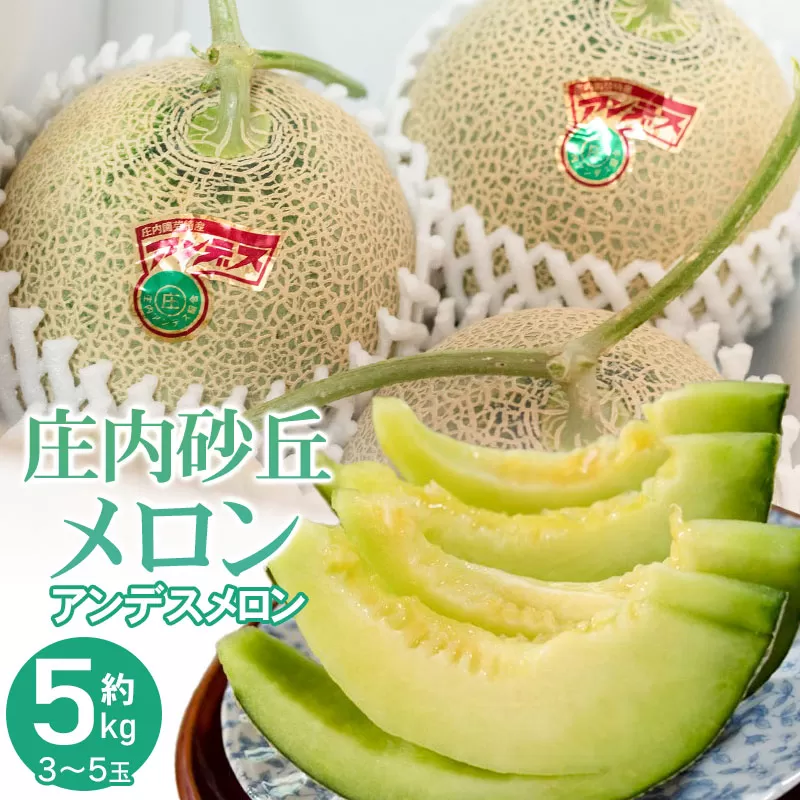 【令和8年産先行予約】菅原農園の庄内砂丘メロン 約5kg (3玉~5玉) アンデス メロン 【7月下旬~8月上旬】 k-839 菅原農園 鶴岡地区物産協同組合