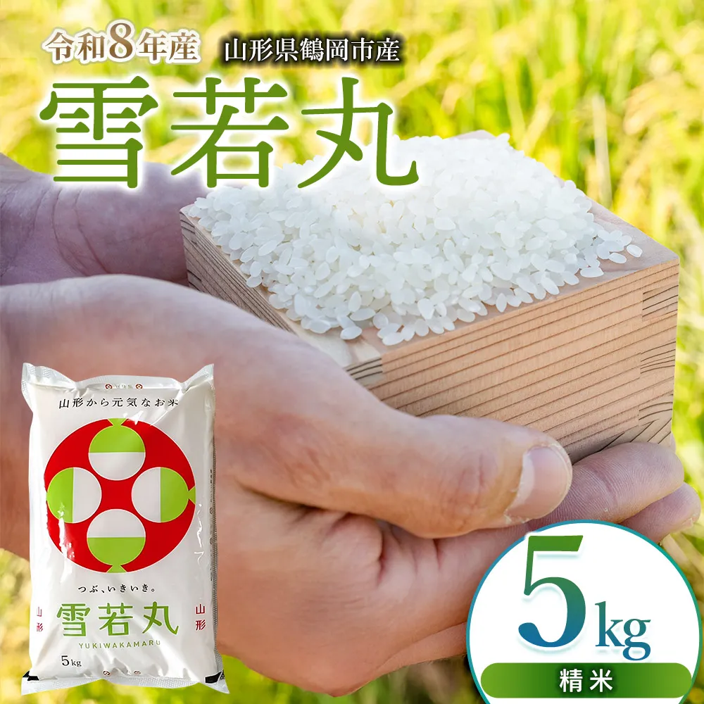 【令和8年産 新米】 馬町さくらファームの雪若丸 精米 5kg（5kg×1袋） 山形県鶴岡市 K-832　| 米 ゆきわかまる お米 5キロ コメ こめ ご飯 ごはん ブランド米 米どころ 庄内米 国産 美味しい お取り寄せ 農家直送 お弁当 おにぎり おすすめ 人気 返礼品
