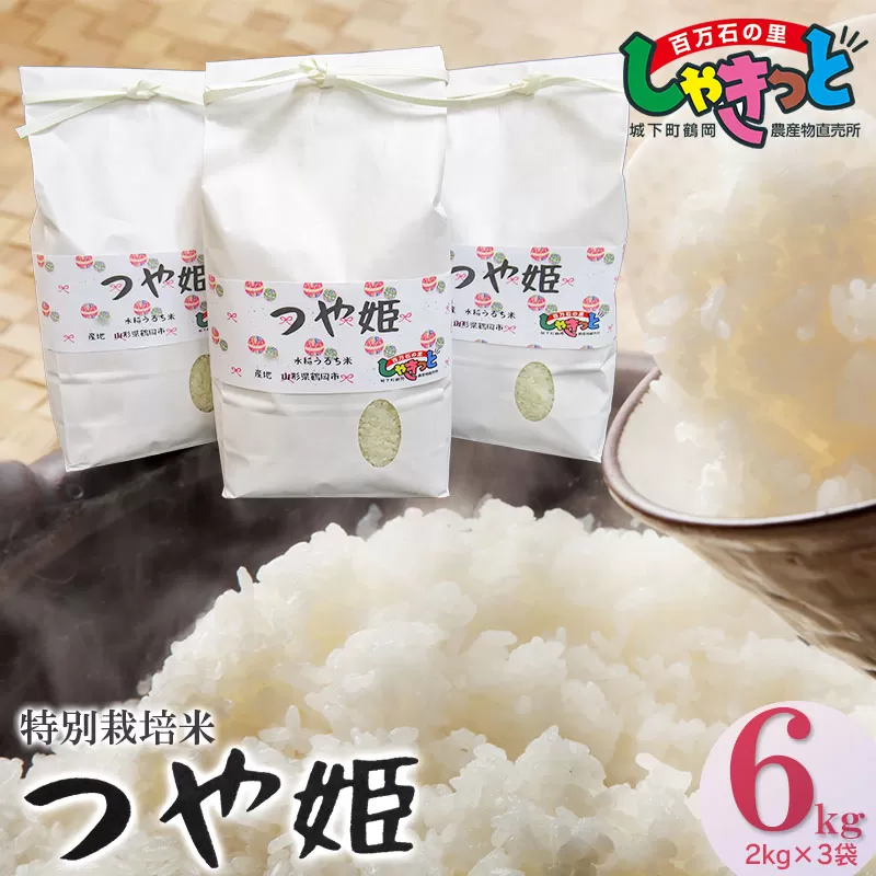 【令和5年産米】  特別栽培米つや姫 6kg（2kg×3袋）山形県鶴岡産　百万石の里しゃきっと A15-010