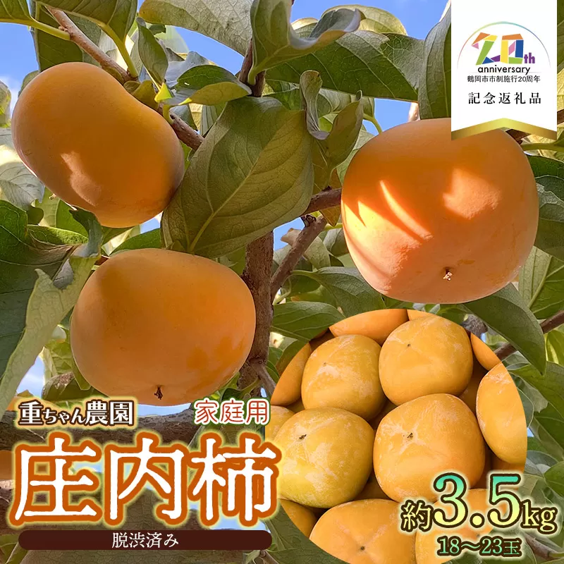 【令和7年産先行予約】　庄内柿 （ひらたねなし柿）　家庭用　約3.5kg　18〜23玉　【市制施行20周年記念返礼品】　重ちゃん農園