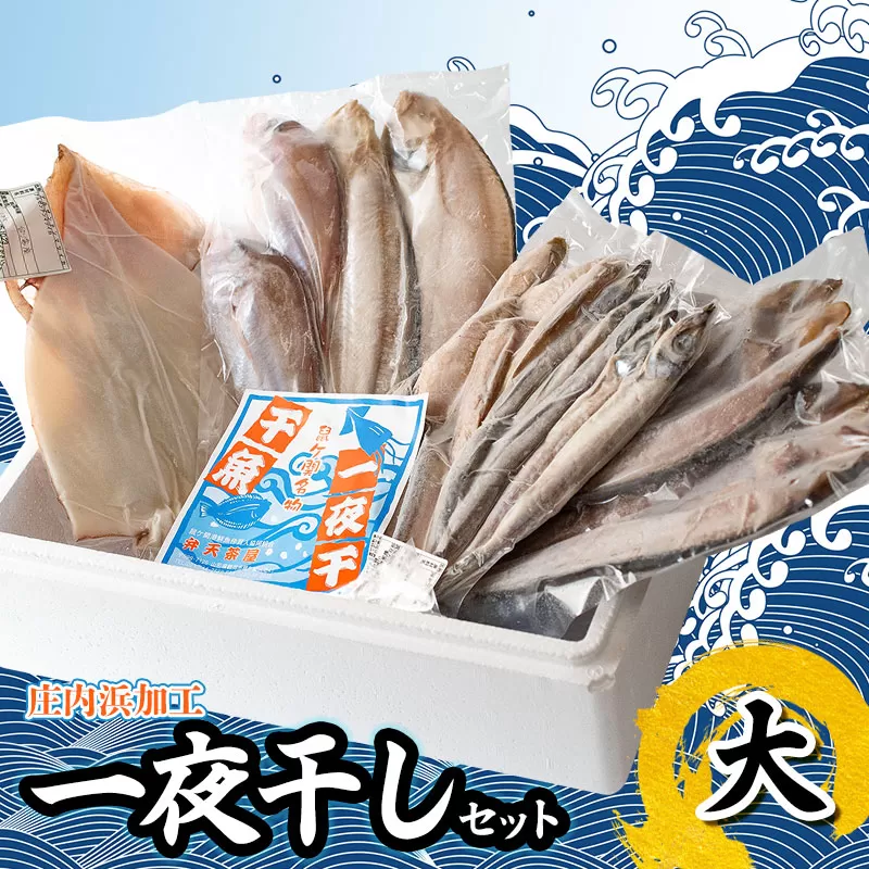 庄内浜加工　一夜干しセット（大）　鶴岡魚類株式会社　K-754
