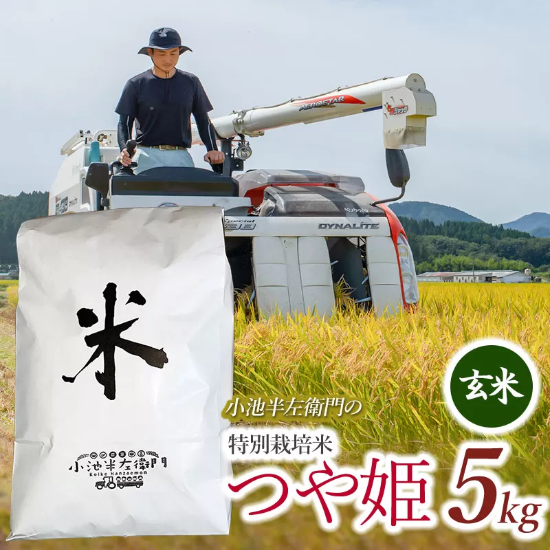 数量限定 【令和7年産先行予約】 山形県庄内産 小池半左衛門のお米 特別栽培米 つや姫 玄米 5kg (5kg×1袋)　