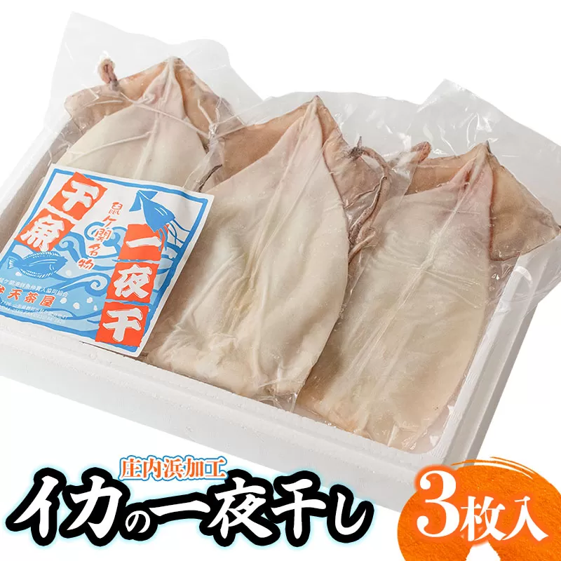 庄内浜加工　イカ一夜干し 3枚　鶴岡魚類株式会社　K-747