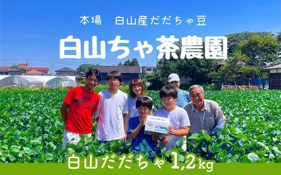 【令和7年産先行予約】山形セレクション認定　だだちゃ豆 「白山だだちゃ」 1.2kg（600g×2袋）　白山ちゃ茶農園　K-731