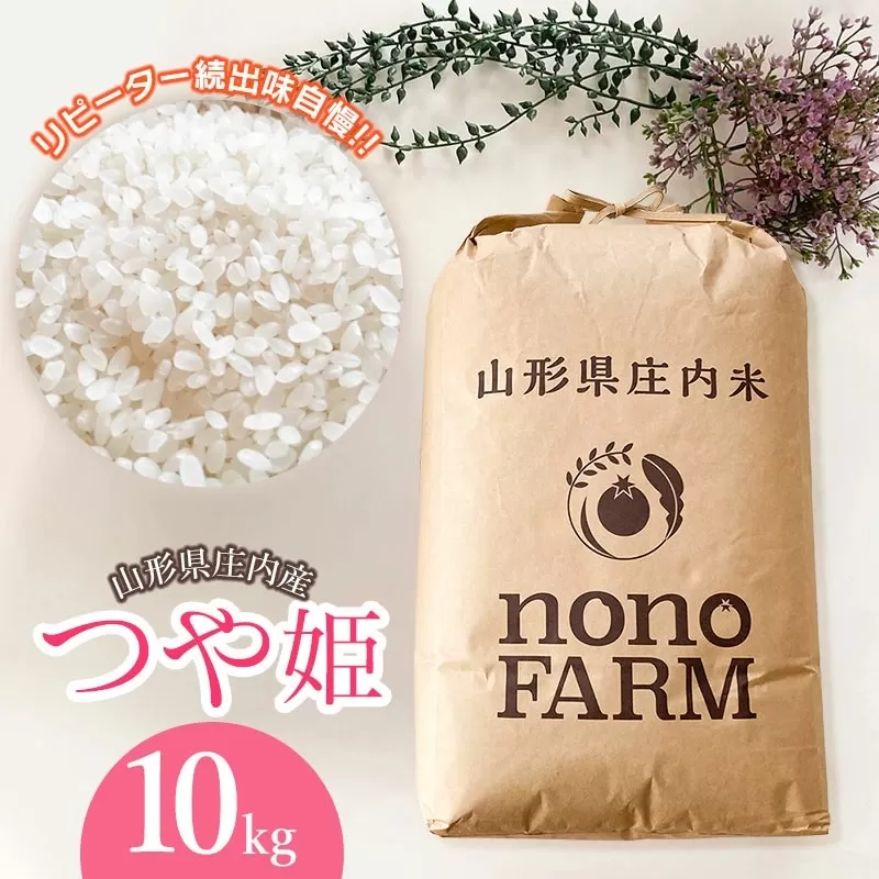 【令和7年産先行予約】山形県庄内産　特別栽培米つや姫 精米 10kg （10㎏×1袋）　野々ファーム