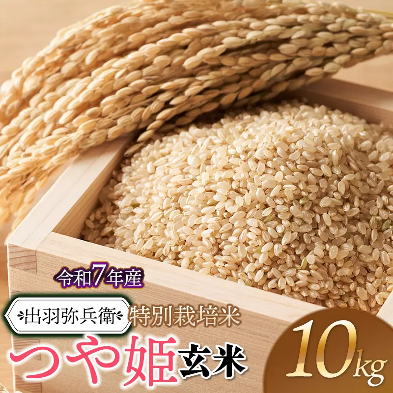 【令和7年産先行予約】特別栽培米 つや姫 【玄米】 10kg（5kg×2袋）　山形県鶴岡市産　出羽弥兵衛