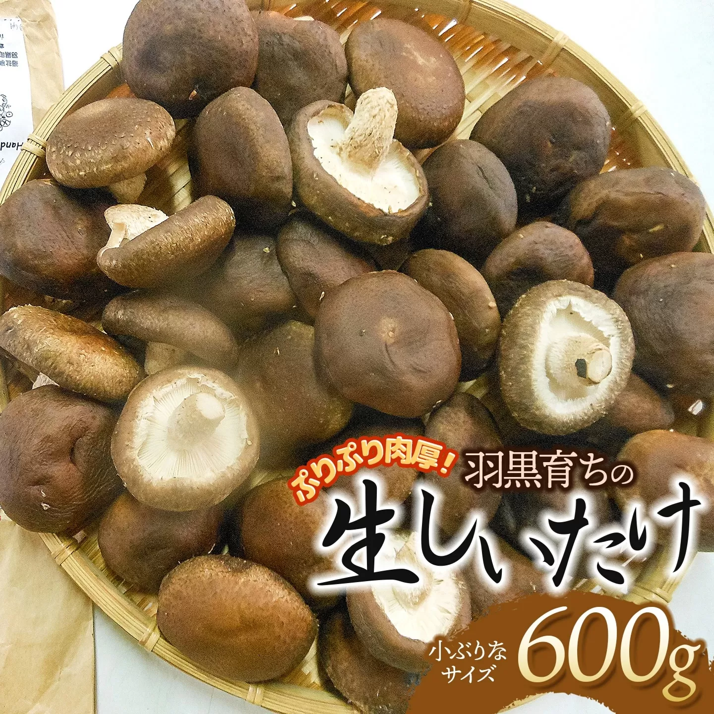 ぷりぷり肉厚！羽黒育ちの生しいたけ　600g（小ぶりなサイズ）　山形県鶴岡市　産直あさひ・グー　K-810　| しいたけ 椎茸 シイタケ 食品 野菜 きのこ 肉厚 国産 産地直送 新鮮 おすすめ おいしい 人気 ご当地 お取り寄せ 返礼品