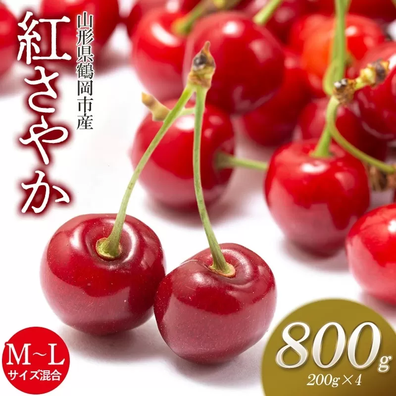 【令和7年産先行予約】さくらんぼ 紅さやか M～Lサイズ混合 バラ詰め 800g (200g×4p) 庄内さくらんぼ園