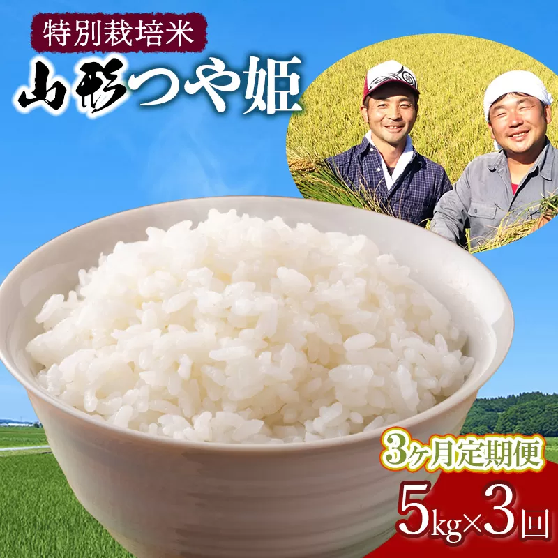 【令和7年産先行予約】【定期便】 特別栽培米 山形つや姫 精米 5kg×3ヶ月　山形県鶴岡市産 鶴岡ファーマーズ