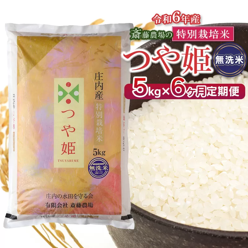 【定期便6ヶ月】【令和6年産】 斎藤農場の特別栽培米 つや姫 【無洗米】5kg(5kg×1袋)×6ヶ月　K-627