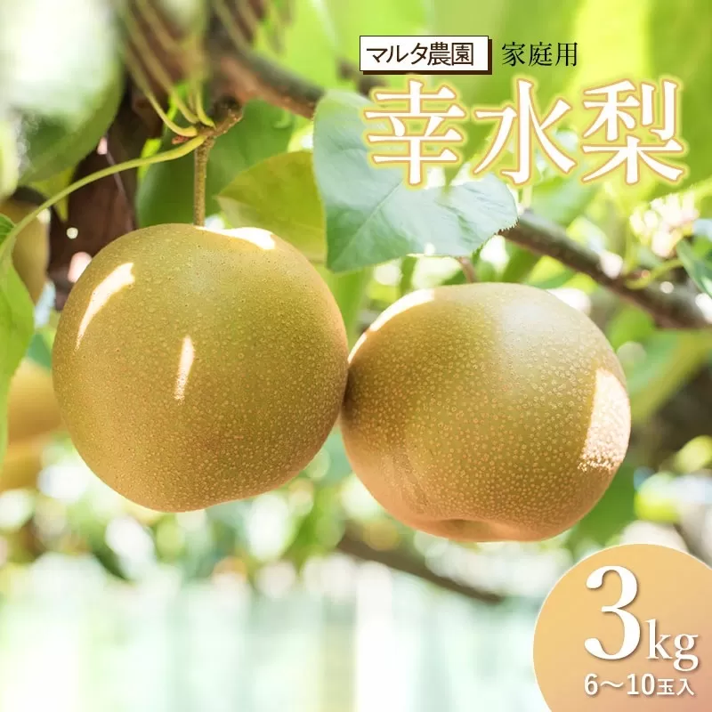 【令和7年産 先行予約】家庭用　幸水梨 3kg(6～10玉)　マルタ農園